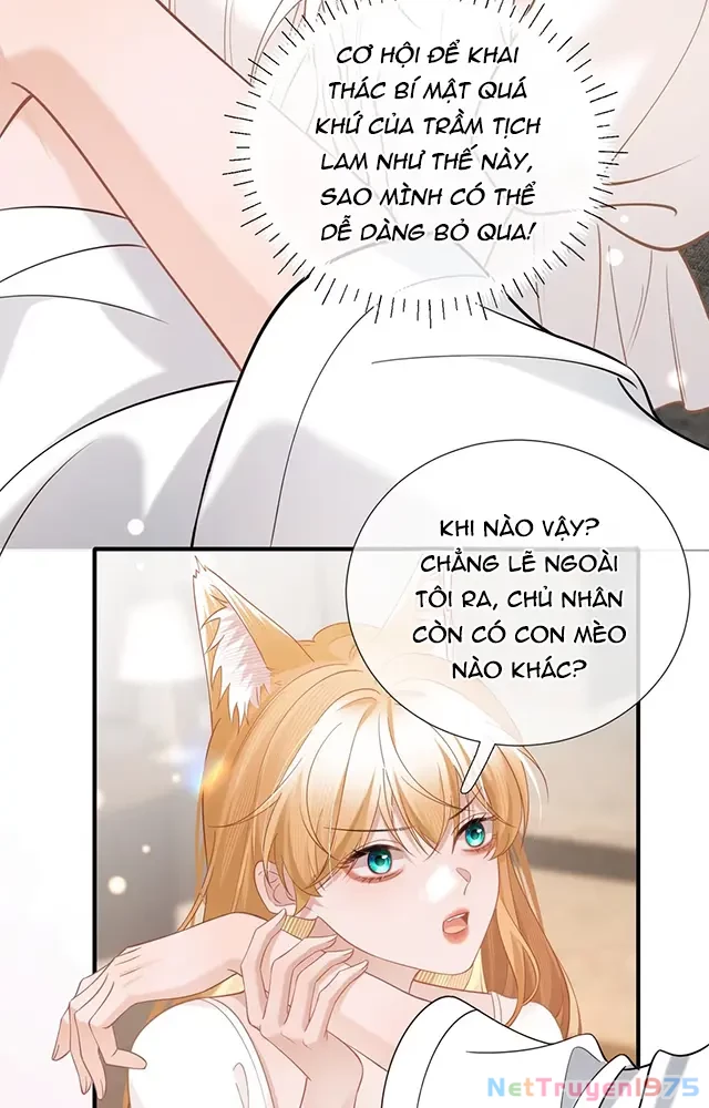 Thưa Ngài, Đuôi Của Ngài Không Giấu Được Nữa Rồi Chapter 19 - Trang 2