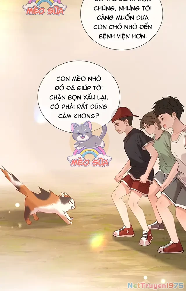 Thưa Ngài, Đuôi Của Ngài Không Giấu Được Nữa Rồi Chapter 19 - Trang 2