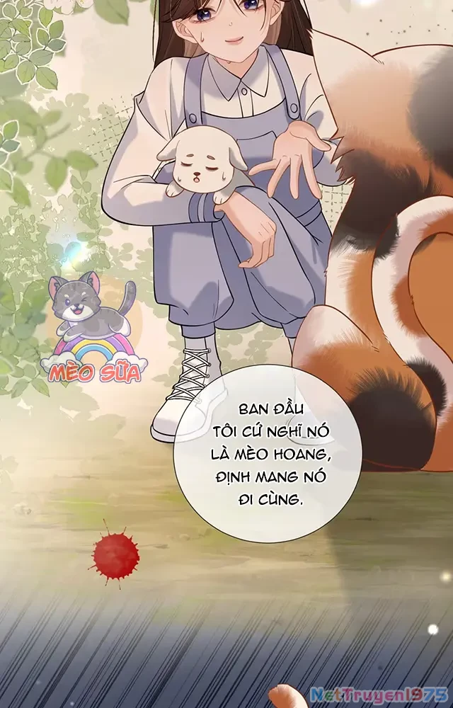 Thưa Ngài, Đuôi Của Ngài Không Giấu Được Nữa Rồi Chapter 19 - Trang 2