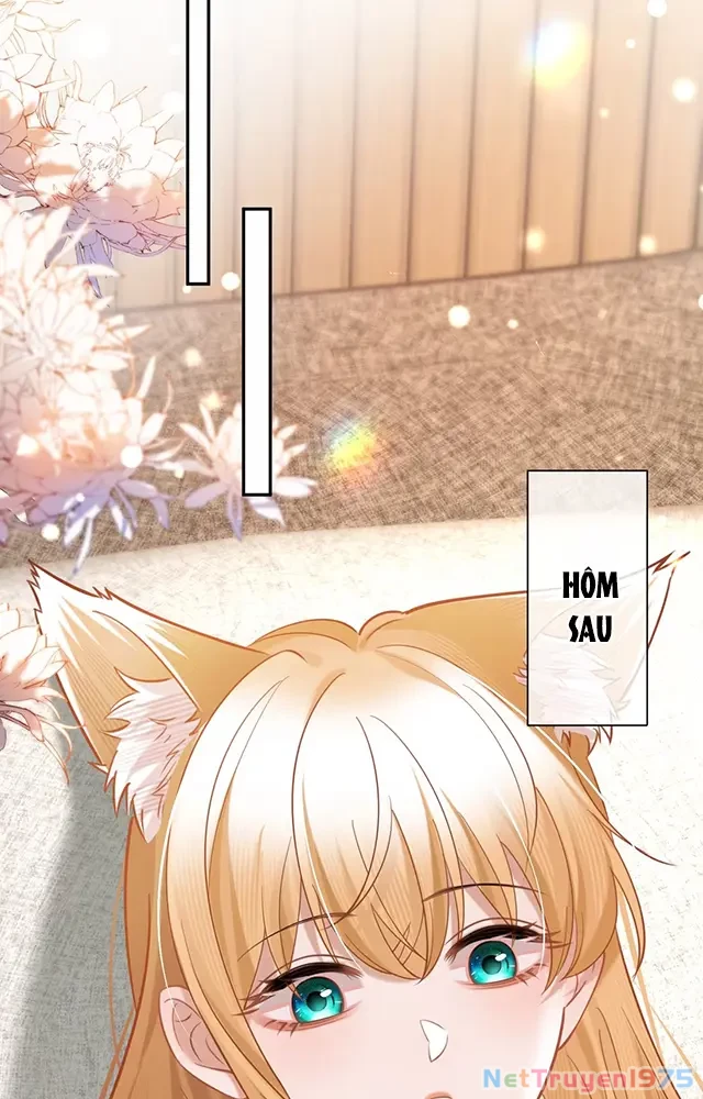 Thưa Ngài, Đuôi Của Ngài Không Giấu Được Nữa Rồi Chapter 19 - Trang 2