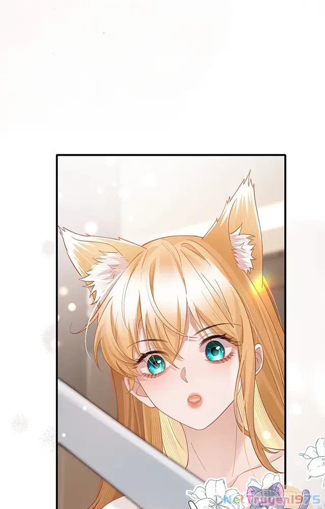 Thưa Ngài, Đuôi Của Ngài Không Giấu Được Nữa Rồi Chapter 19 - Trang 2