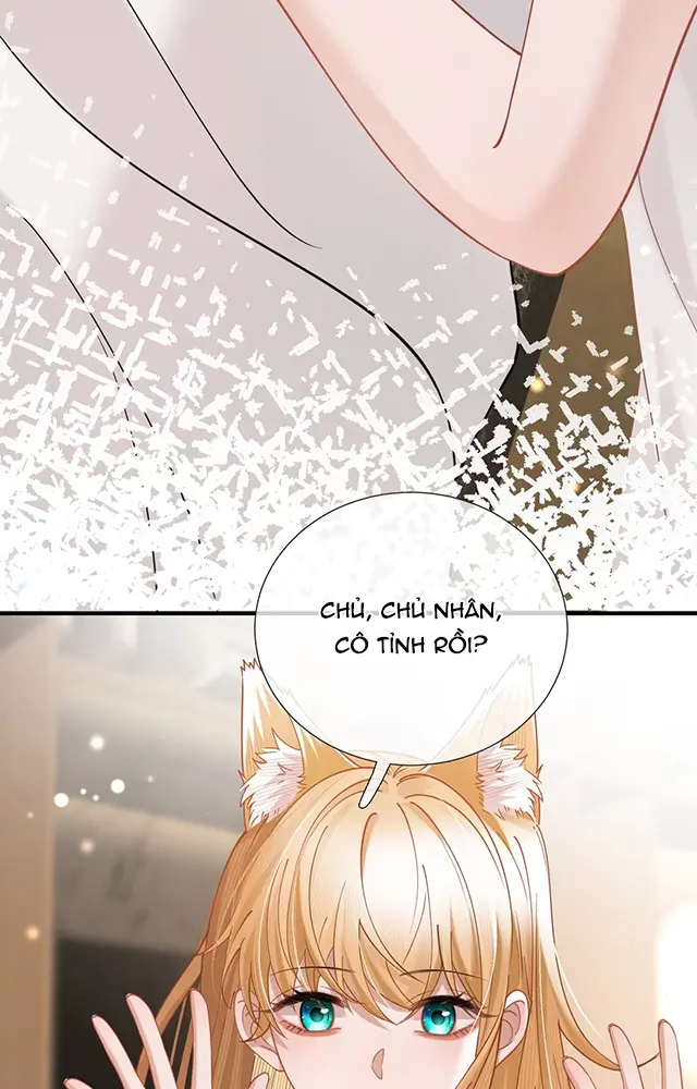 Thưa Ngài, Đuôi Của Ngài Không Giấu Được Nữa Rồi Chapter 20 - Trang 2