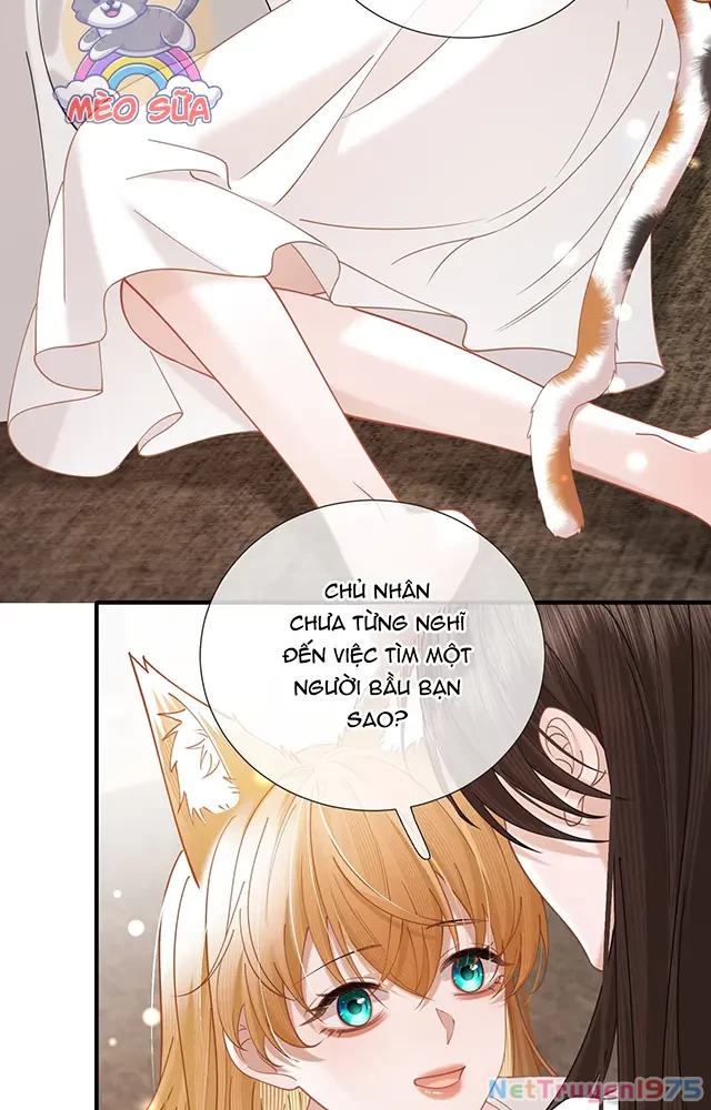 Thưa Ngài, Đuôi Của Ngài Không Giấu Được Nữa Rồi Chapter 21 - Trang 2