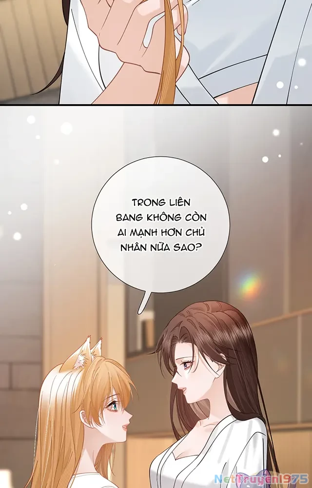 Thưa Ngài, Đuôi Của Ngài Không Giấu Được Nữa Rồi Chapter 21 - Trang 2