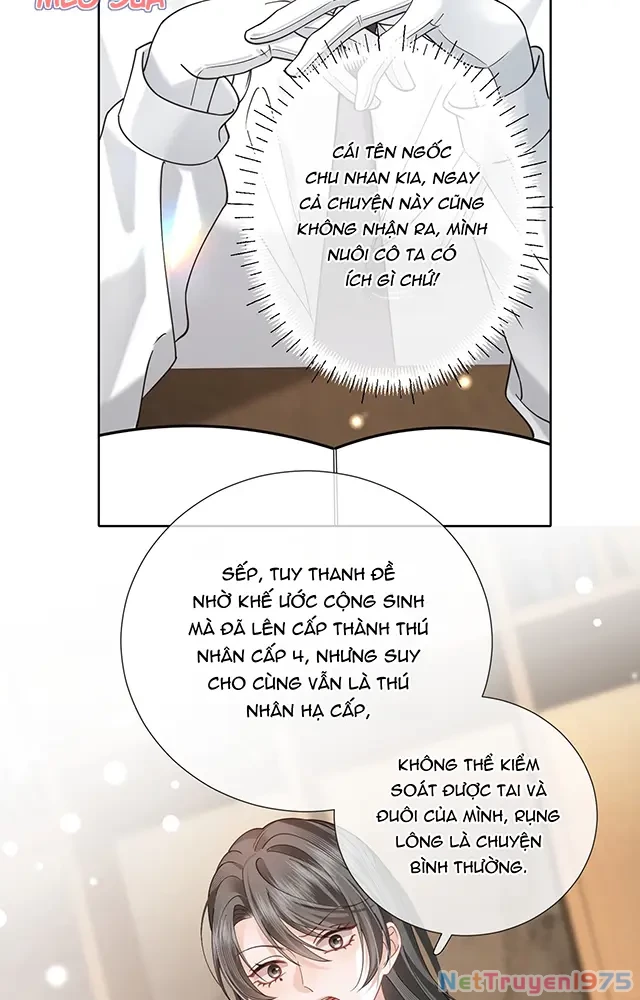 Thưa Ngài, Đuôi Của Ngài Không Giấu Được Nữa Rồi Chapter 21 - Trang 2