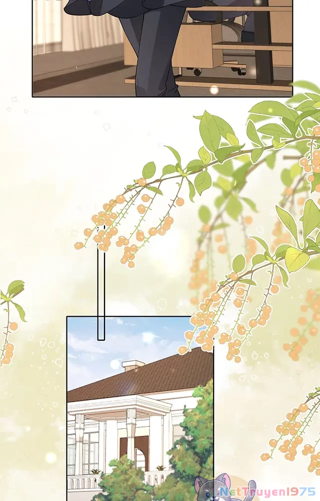 Thưa Ngài, Đuôi Của Ngài Không Giấu Được Nữa Rồi Chapter 21 - Trang 2