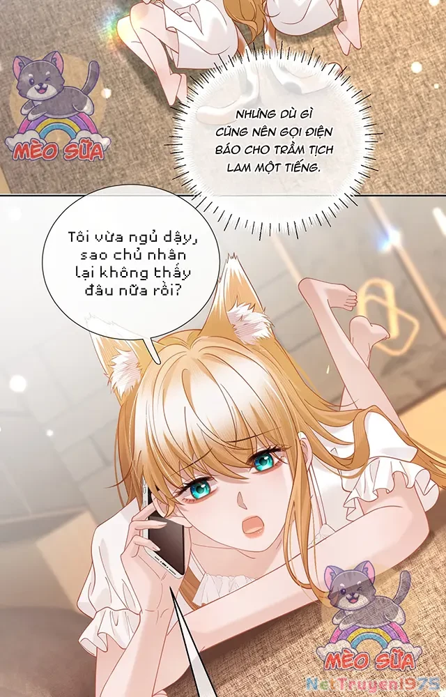 Thưa Ngài, Đuôi Của Ngài Không Giấu Được Nữa Rồi Chapter 21 - Trang 2