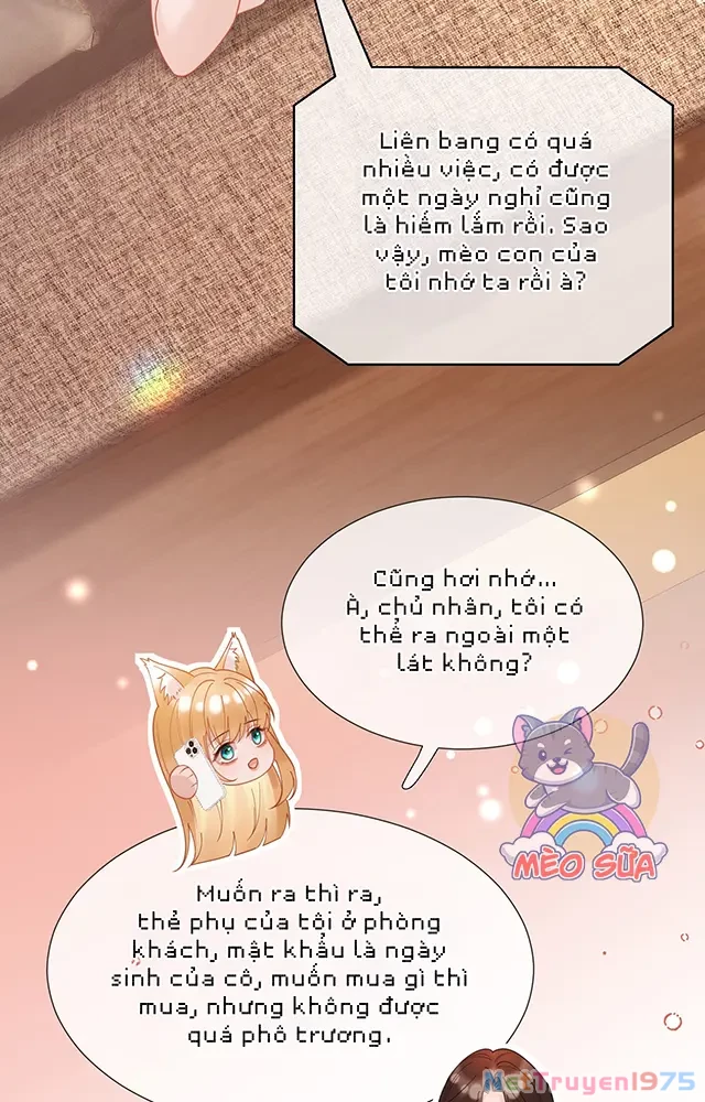 Thưa Ngài, Đuôi Của Ngài Không Giấu Được Nữa Rồi Chapter 21 - Trang 2
