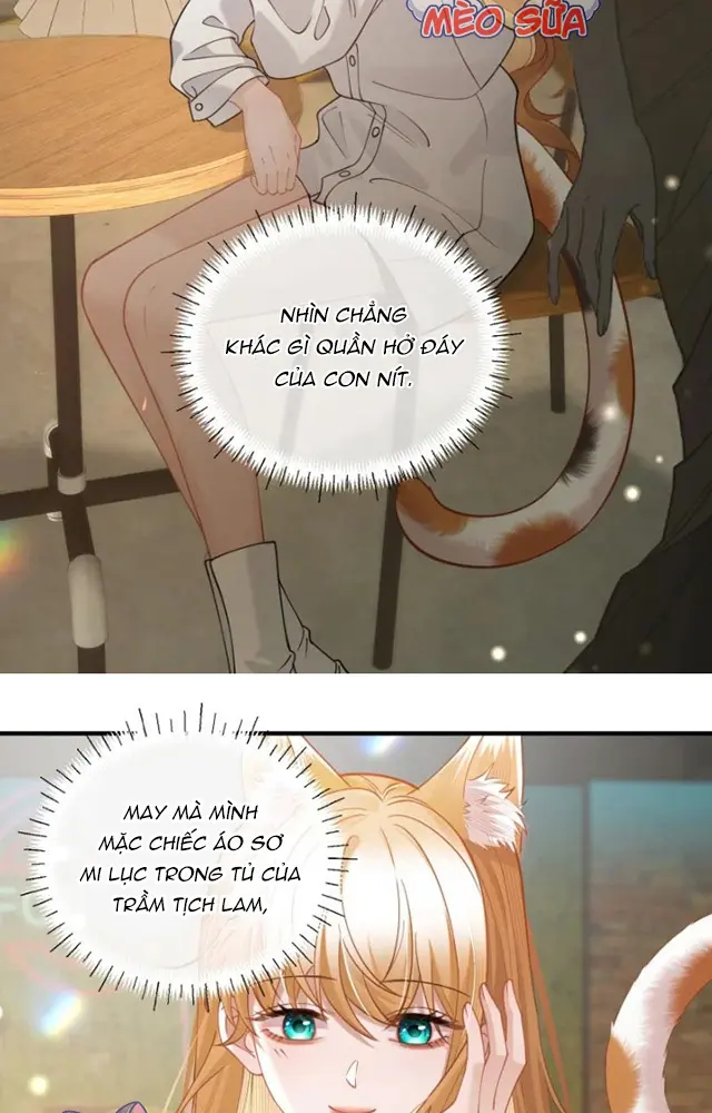 Thưa Ngài, Đuôi Của Ngài Không Giấu Được Nữa Rồi Chapter 22 - Trang 2
