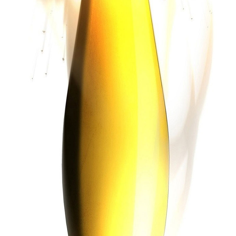 Cựu Lính Đánh Thuê Trở Thành Công Tố Viên Chapter 1 - Trang 2