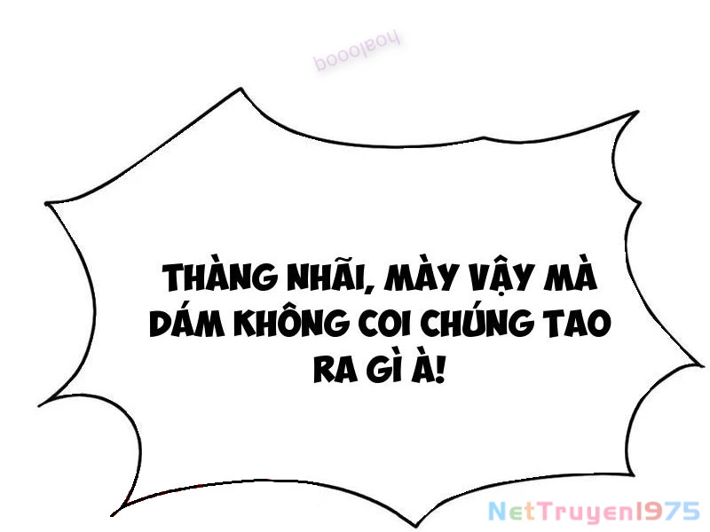Lão Đại Xuống Núi: Bắt Đầu Lập Nghiệp Kiếm Cơm Chapter 104 - Trang 2