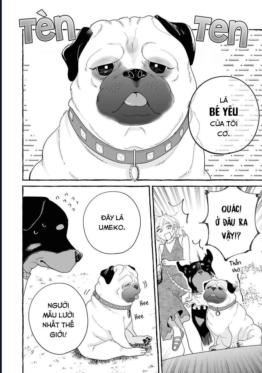 Đôi Ta Hoàn Toàn Trái Ngược Chapter 32 - Trang 2