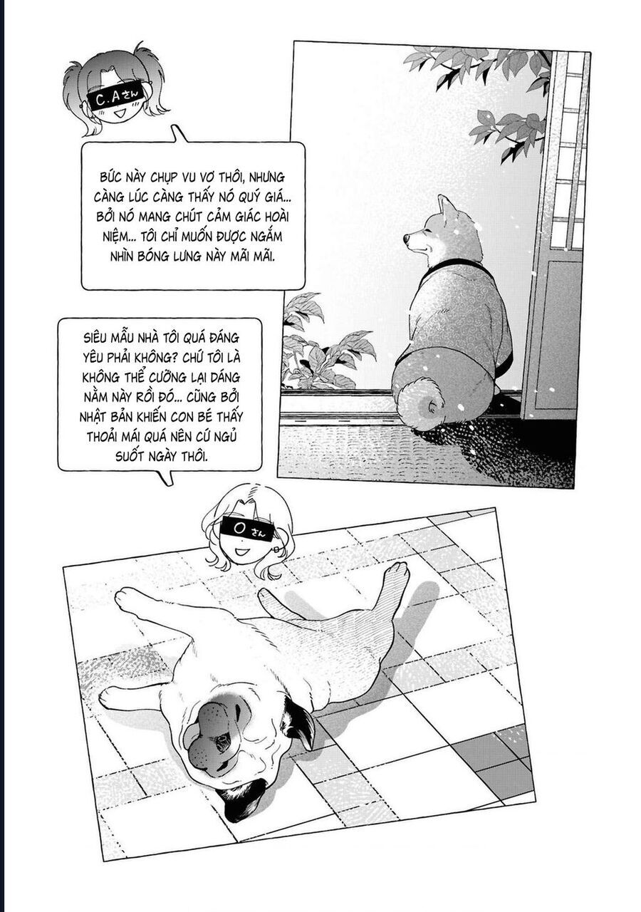Đôi Ta Hoàn Toàn Trái Ngược Chapter 37.5 - Trang 2