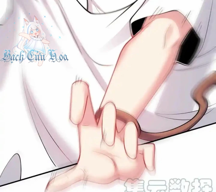Bị Bắt Trở Thành Vô Địch Thánh Nữ Chapter 42 - Trang 2