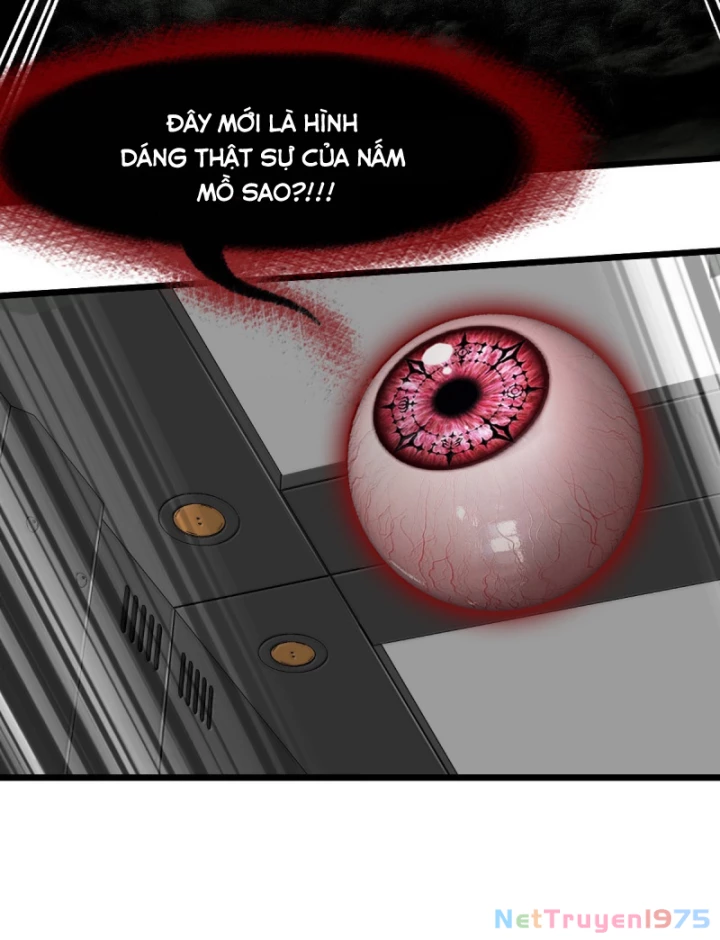 Bàn Tay Thần Thánh Chapter 62 - Trang 2