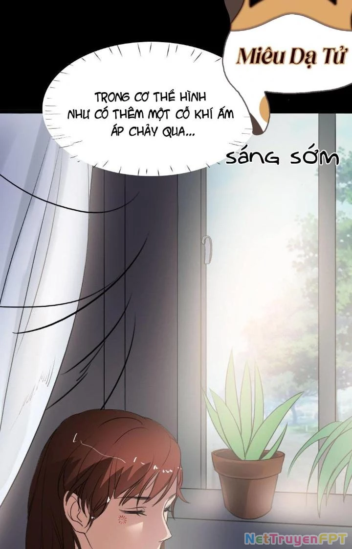 Nữ Livestream Khủng Bố Chapter 20 - Trang 2