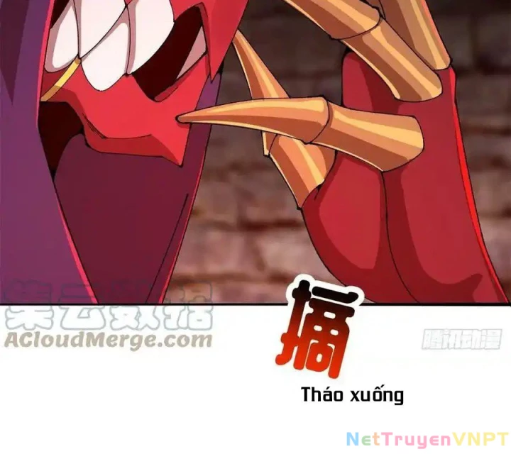 Ta Nhặt Được Thuộc Tính Tại Tu Chân Giới Chapter 273 - Trang 2