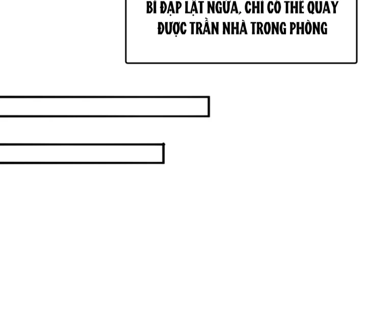 Ta Nhặt Được Thuộc Tính Tại Tu Chân Giới Chapter 295 - Trang 2