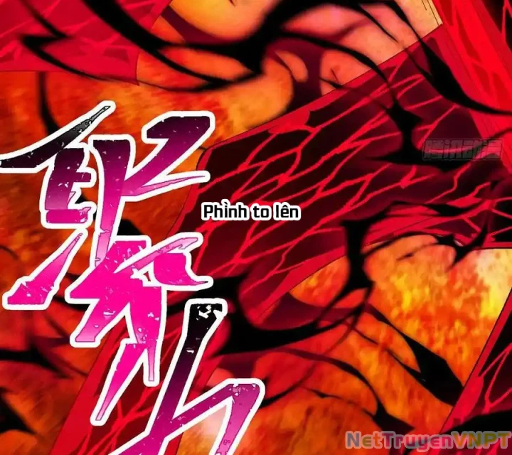 Ta Nhặt Được Thuộc Tính Tại Tu Chân Giới Chapter 299 - Trang 2