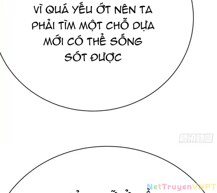 Ta Nhặt Được Thuộc Tính Tại Tu Chân Giới Chapter 301 - Trang 2