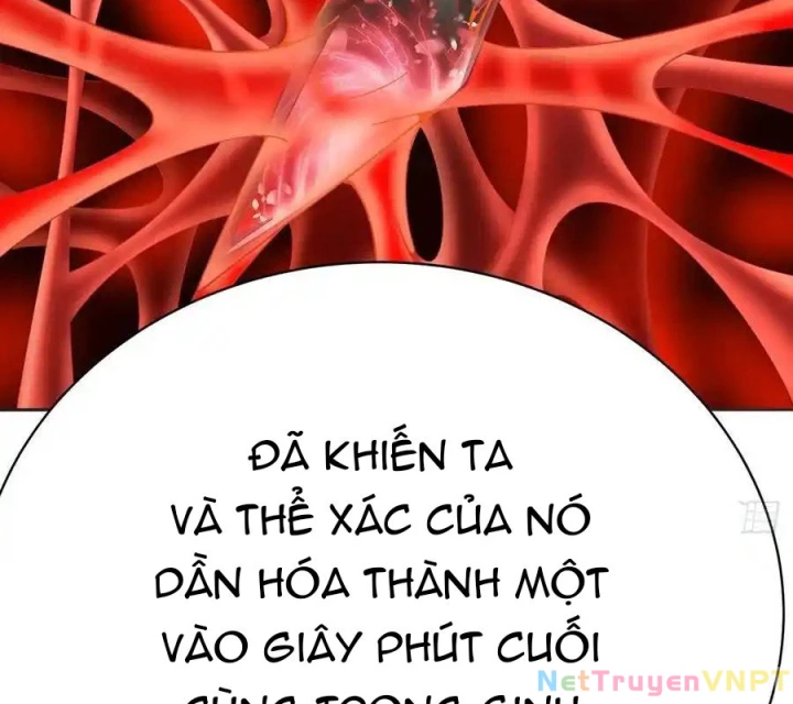 Ta Nhặt Được Thuộc Tính Tại Tu Chân Giới Chapter 301 - Trang 2