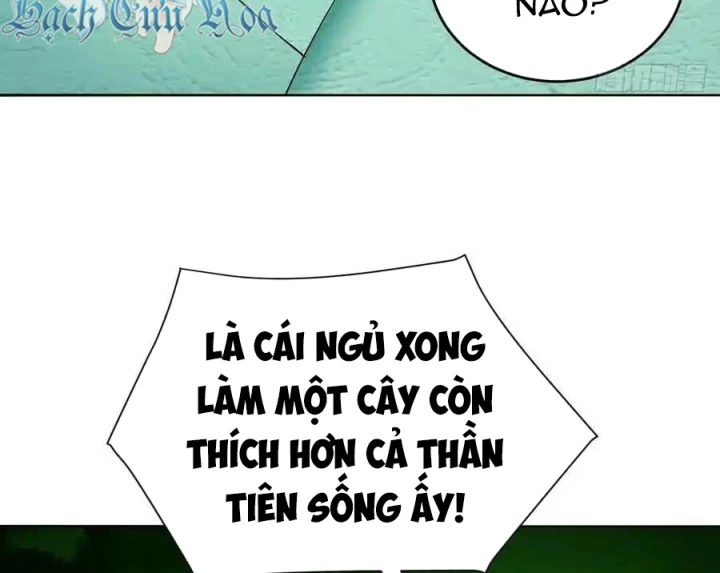 Ta Nhặt Được Thuộc Tính Tại Tu Chân Giới Chapter 304 - Trang 2