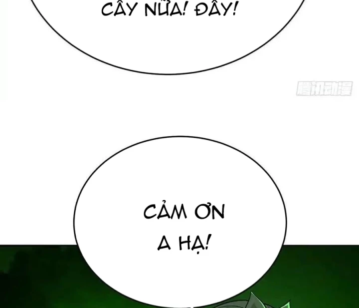 Ta Nhặt Được Thuộc Tính Tại Tu Chân Giới Chapter 304 - Trang 2