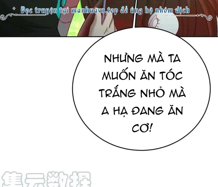 Ta Nhặt Được Thuộc Tính Tại Tu Chân Giới Chapter 304 - Trang 2