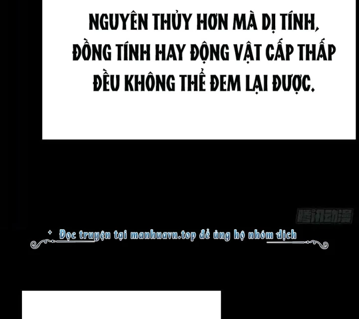 Ta Nhặt Được Thuộc Tính Tại Tu Chân Giới Chapter 305 - Trang 2