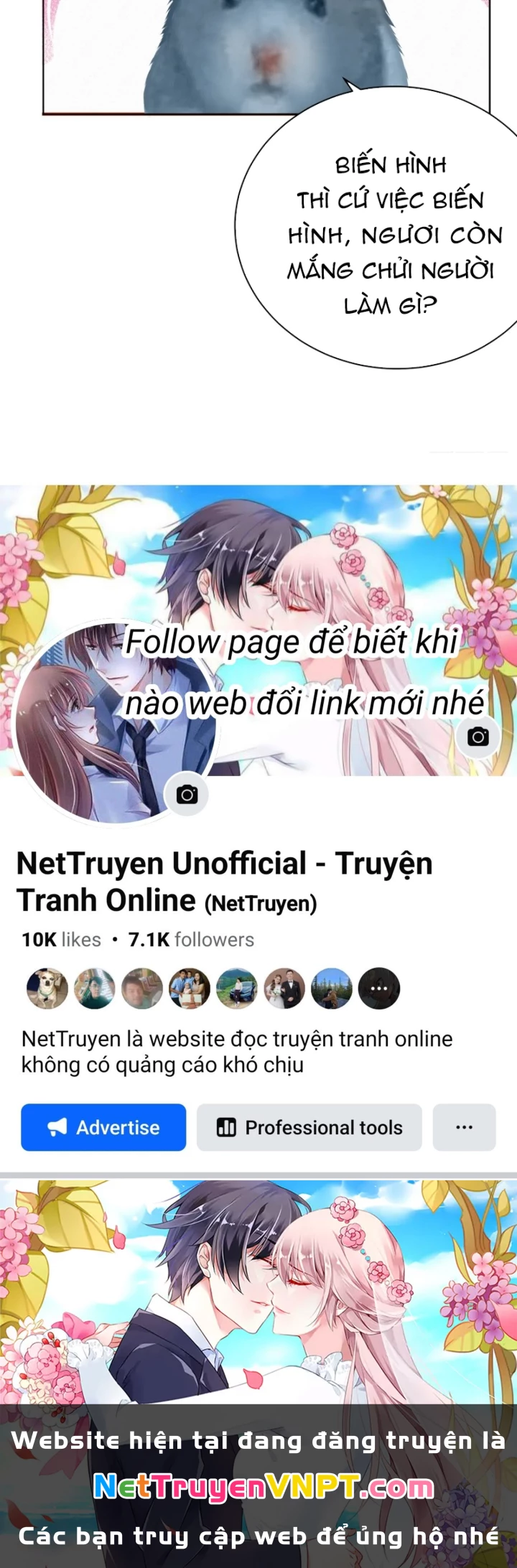 Ta Nhặt Được Thuộc Tính Tại Tu Chân Giới Chapter 307 - Trang 2