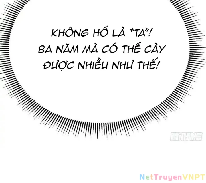 Ta Nhặt Được Thuộc Tính Tại Tu Chân Giới Chapter 311 - Trang 2