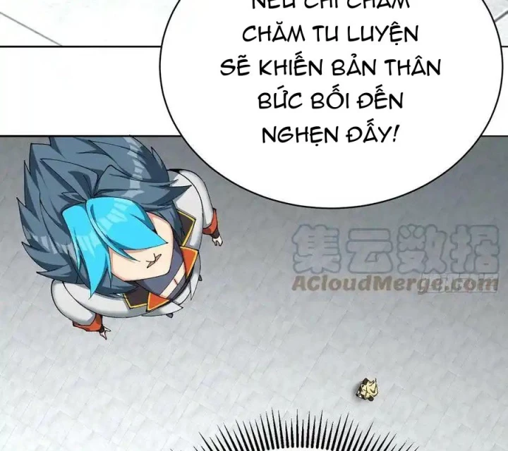 Ta Nhặt Được Thuộc Tính Tại Tu Chân Giới Chapter 312 - Trang 2