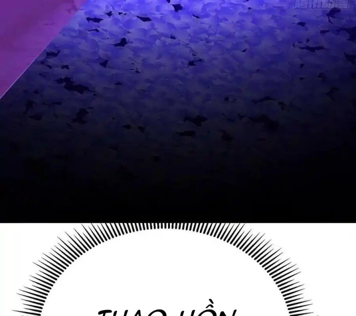 Ta Nhặt Được Thuộc Tính Tại Tu Chân Giới Chapter 313 - Trang 2