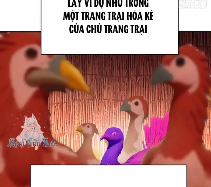 Ta Nhặt Được Thuộc Tính Tại Tu Chân Giới Chapter 315 - Trang 2