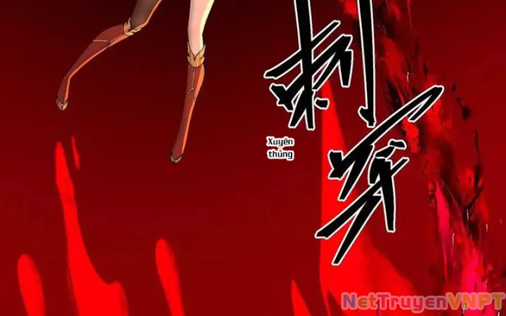 Ta Nhặt Được Thuộc Tính Tại Tu Chân Giới Chapter 317 - Trang 2