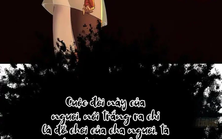 Ta Nhặt Được Thuộc Tính Tại Tu Chân Giới Chapter 317 - Trang 2