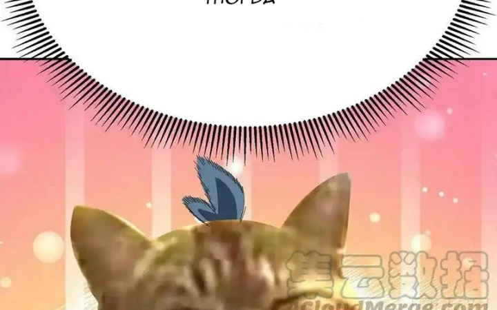 Ta Nhặt Được Thuộc Tính Tại Tu Chân Giới Chapter 317 - Trang 2