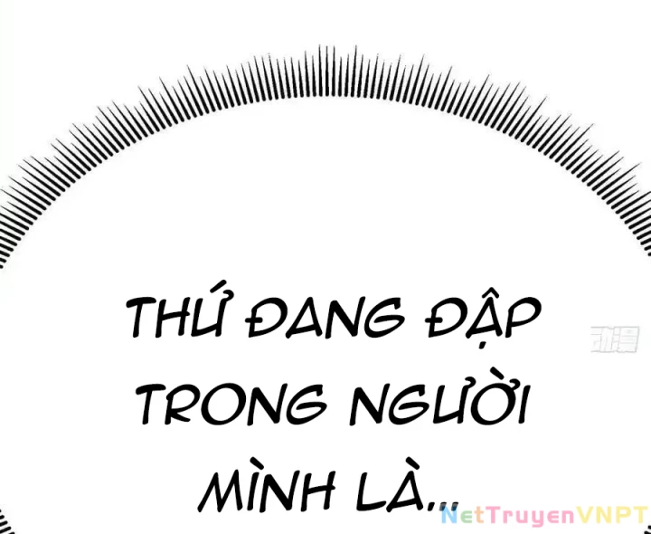 Ta Nhặt Được Thuộc Tính Tại Tu Chân Giới Chapter 319 - Trang 2