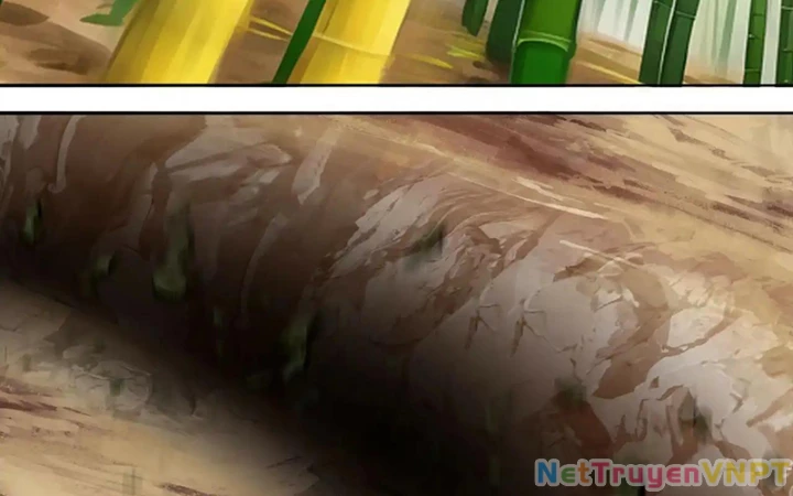 Ta Nhặt Được Thuộc Tính Tại Tu Chân Giới Chapter 331 - Trang 2