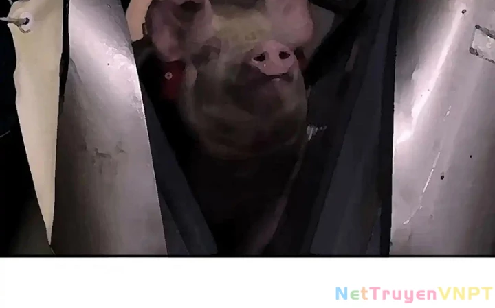 Ta Nhặt Được Thuộc Tính Tại Tu Chân Giới Chapter 331 - Trang 2