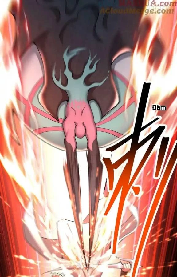 Ta Nhặt Được Thuộc Tính Tại Tu Chân Giới Chapter 338 - Trang 2