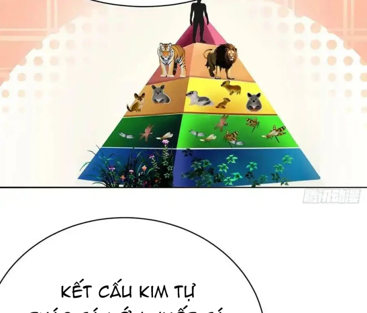 Ta Nhặt Được Thuộc Tính Tại Tu Chân Giới Chapter 339 - Trang 2