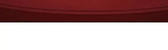 Ta Nhặt Được Thuộc Tính Tại Tu Chân Giới Chapter 343 - Trang 2