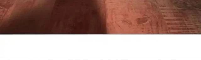 Ta Nhặt Được Thuộc Tính Tại Tu Chân Giới Chapter 360 - Trang 2