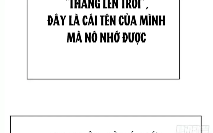 Ta Nhặt Được Thuộc Tính Tại Tu Chân Giới Chapter 367 - Trang 2
