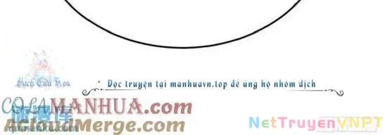 Ta Nhặt Được Thuộc Tính Tại Tu Chân Giới Chapter 371 - Trang 2