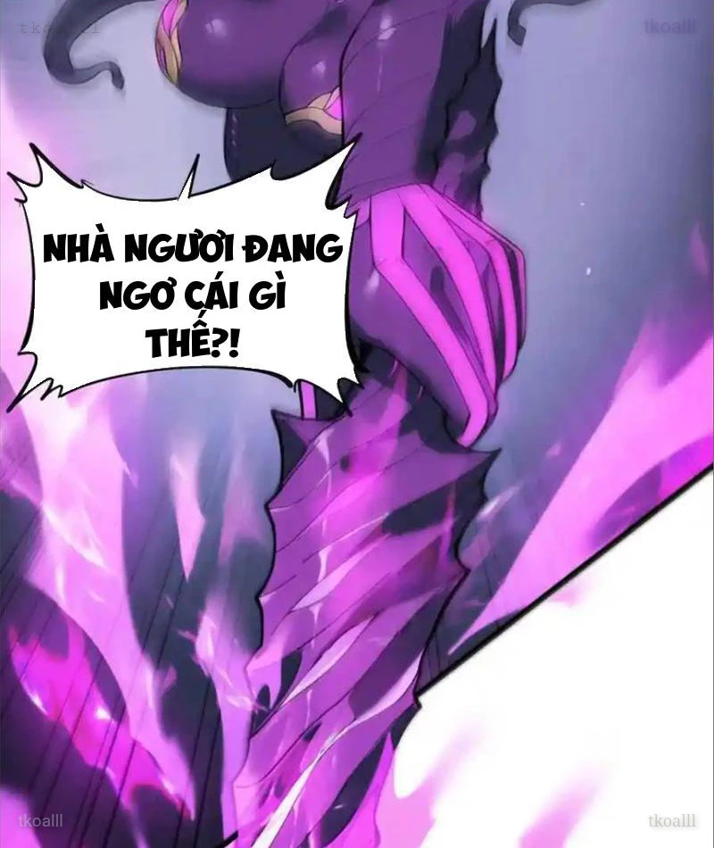 Băng Phong Mạt Nhật: Không Còn Đường Sống Chapter 70 - Trang 2