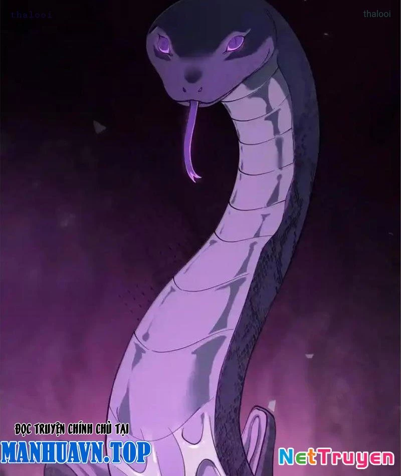 Băng Phong Mạt Nhật: Không Còn Đường Sống Chapter 71 - Trang 2