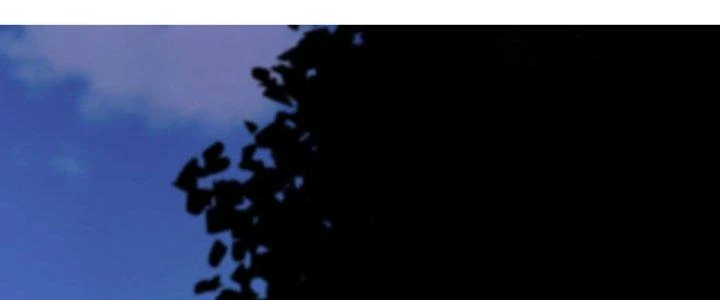 Lão Bà Ta Là Minh Chủ Võ Lâm Chapter 20 - Trang 2