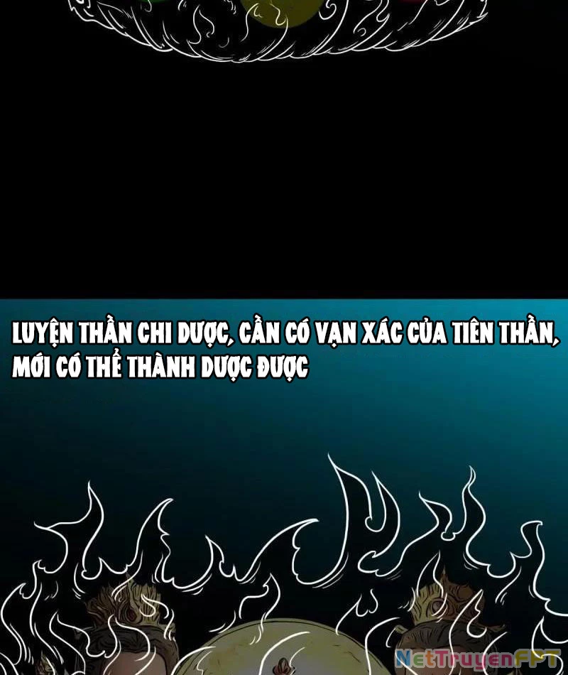 Đấu Yếm Thần Chapter 370 - Trang 2